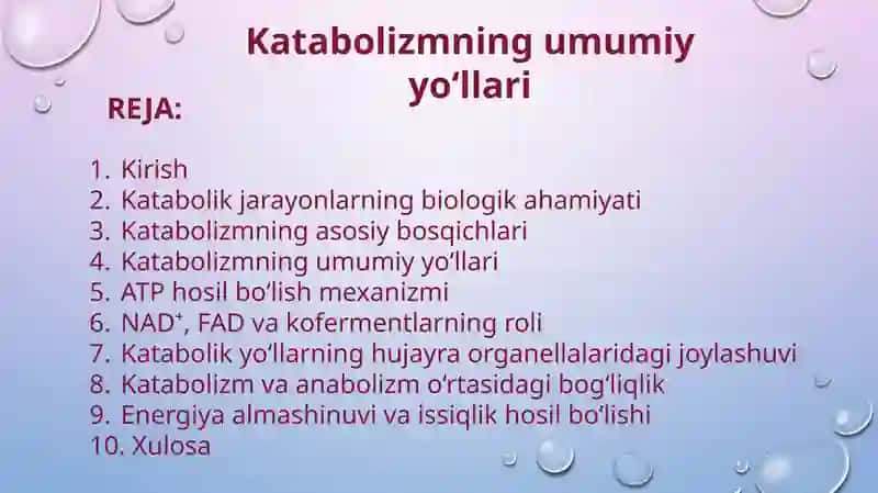 Katabolizmning umumiy yo‘llari