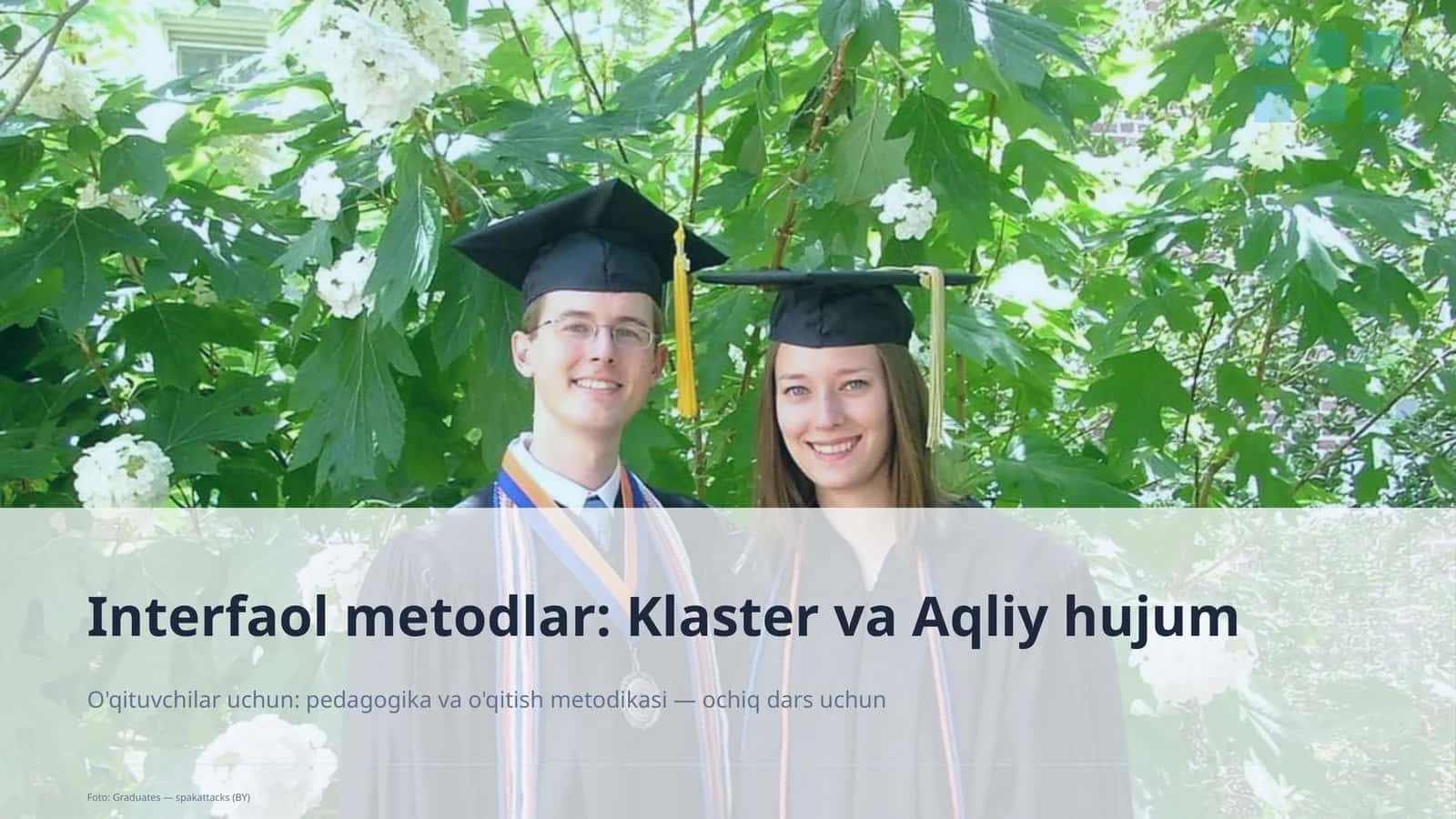 Interfaol metodlar: Klaster va Aqliy hujum 1