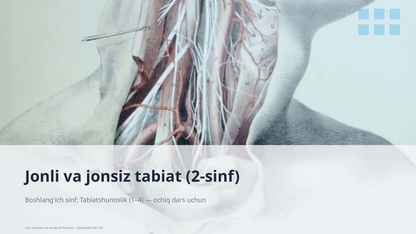 Jonli va jonsiz tabiat (2-sinf) 1