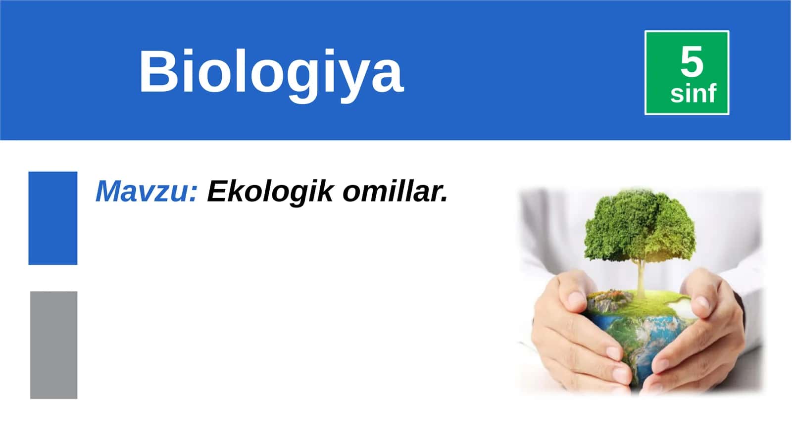 Ekologikomillar 1