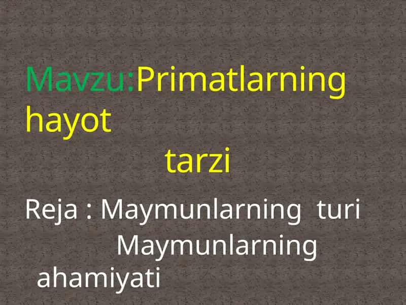 Primatlarning hayot  tarzi 1