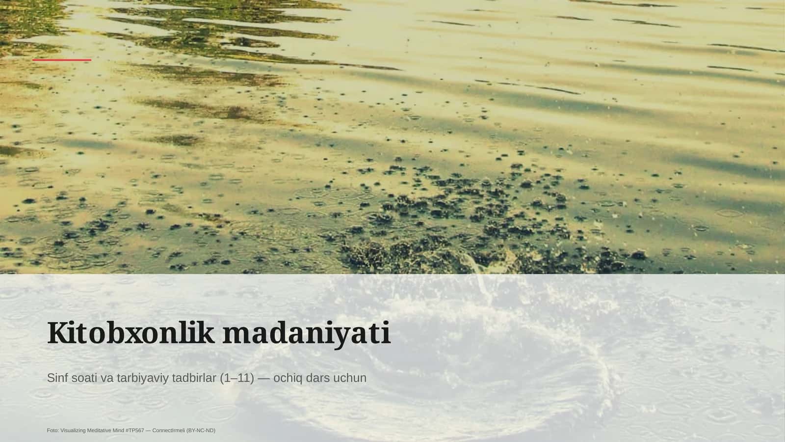 Kitobxonlik madaniyati 1