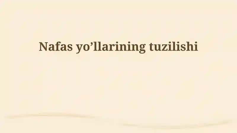 Nafas yo’llarining tuzilishi