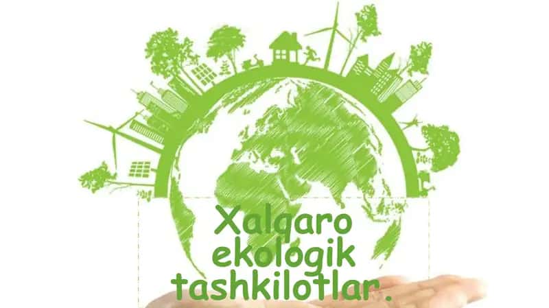 Xalqaro ekologik tashkilotlar 1
