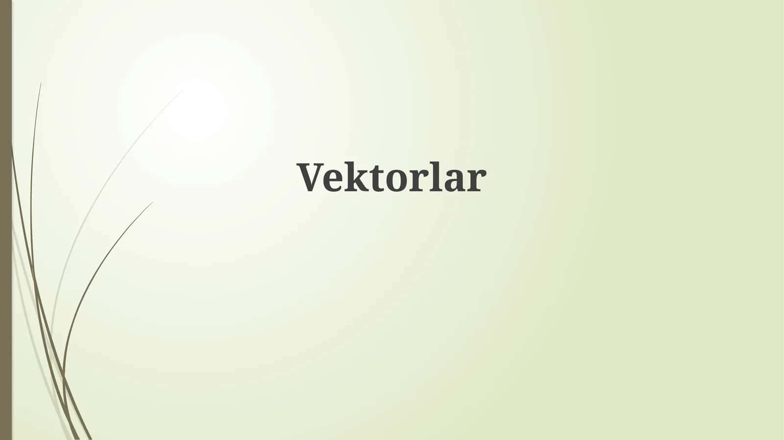 Vektorlar 1