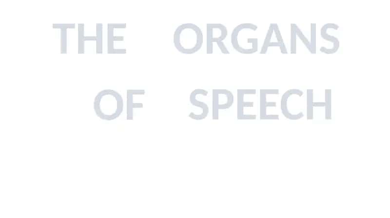 THE ORGANS OF SPEECH 1