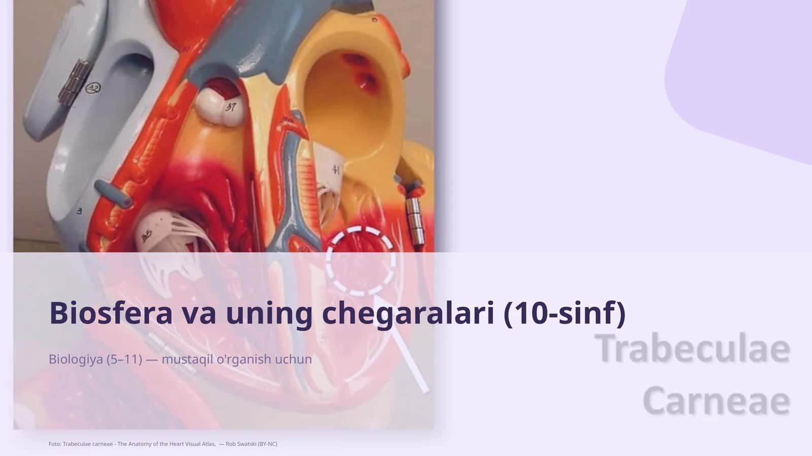 Biosfera va uning chegaralari (10-sinf) 1