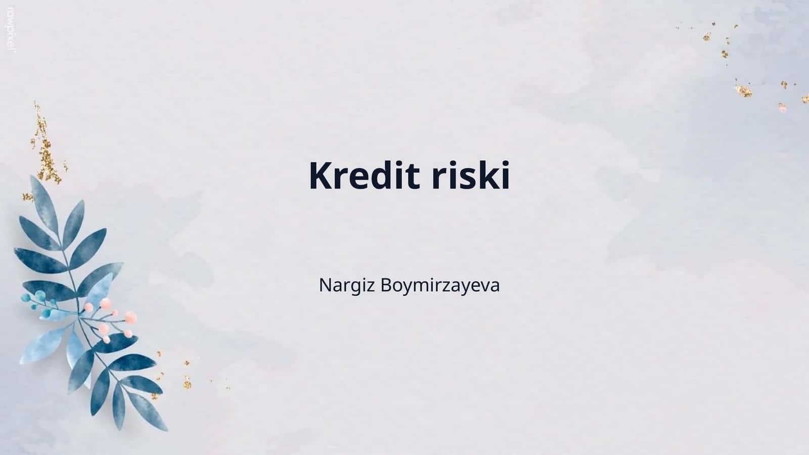 Kredit riski 1