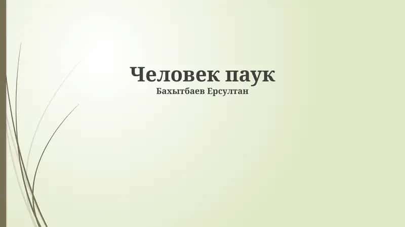 Человек паук 1