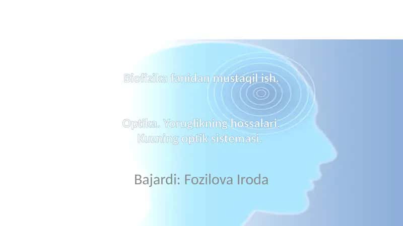 Optika 1