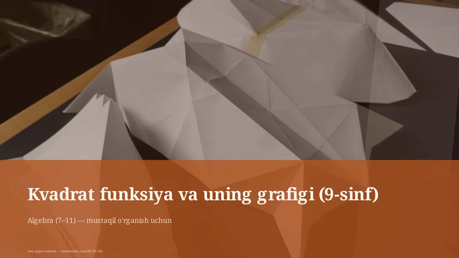 Kvadrat funksiya va uning grafigi (9-sinf) 1