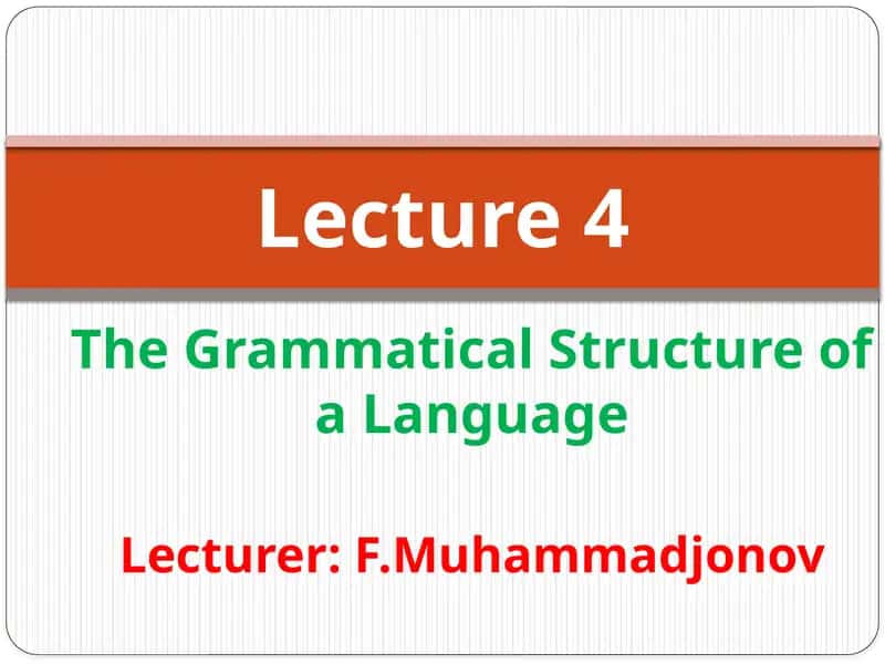 The Grammatical Structure of a Language 1