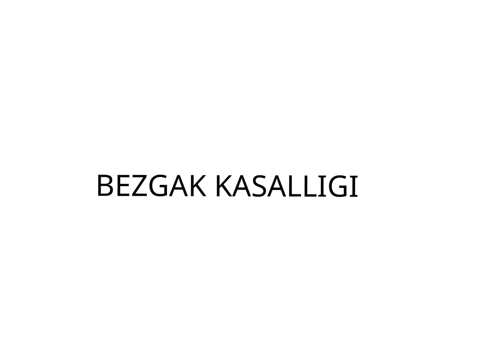 BEZGAKKASALLIGI 1