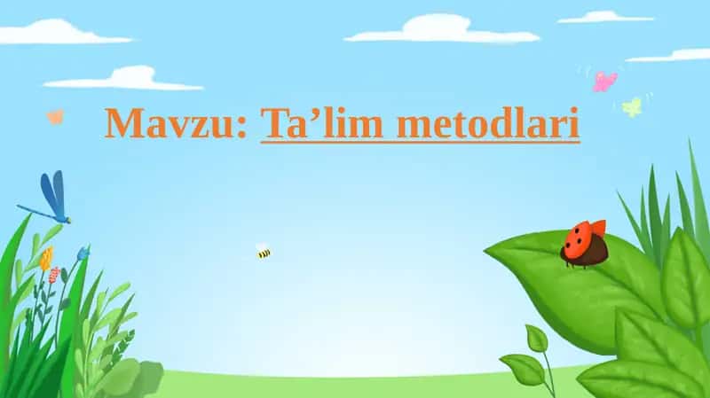 Ta’lim Metodlari 1