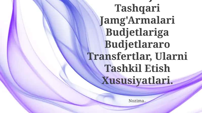 Byudjetlararo Transfertlar 1