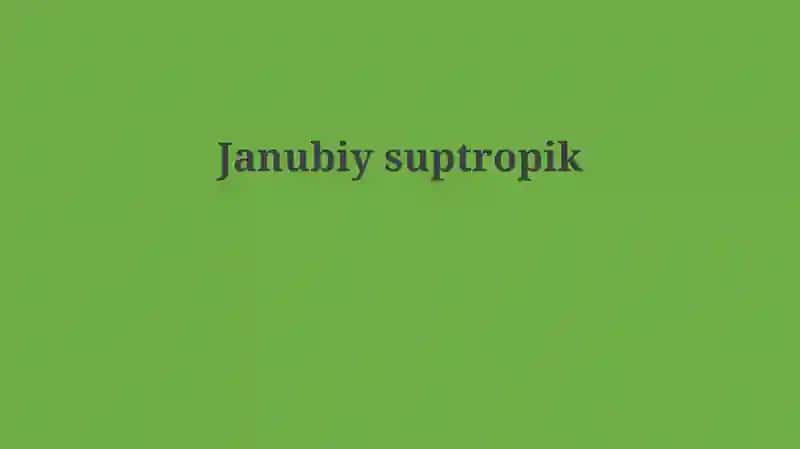 Janubiy suptropik