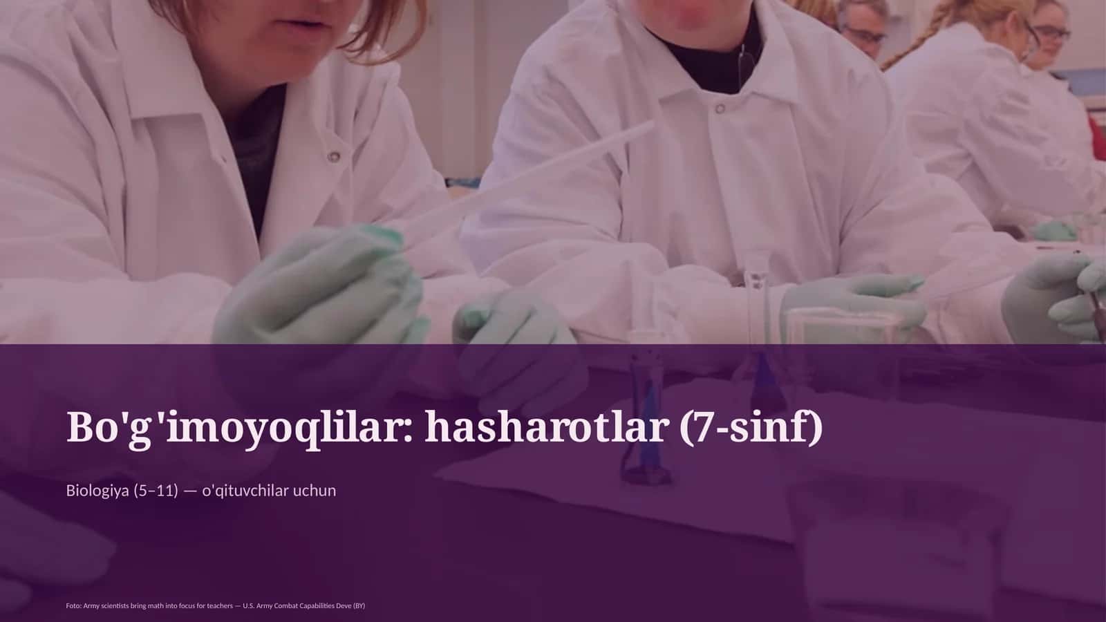 Bo'g'imoyoqlilar: hasharotlar (7-sinf) 1