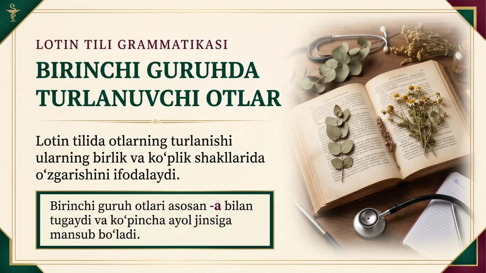 Birinchi guruhda turlanuvchi otlar 1