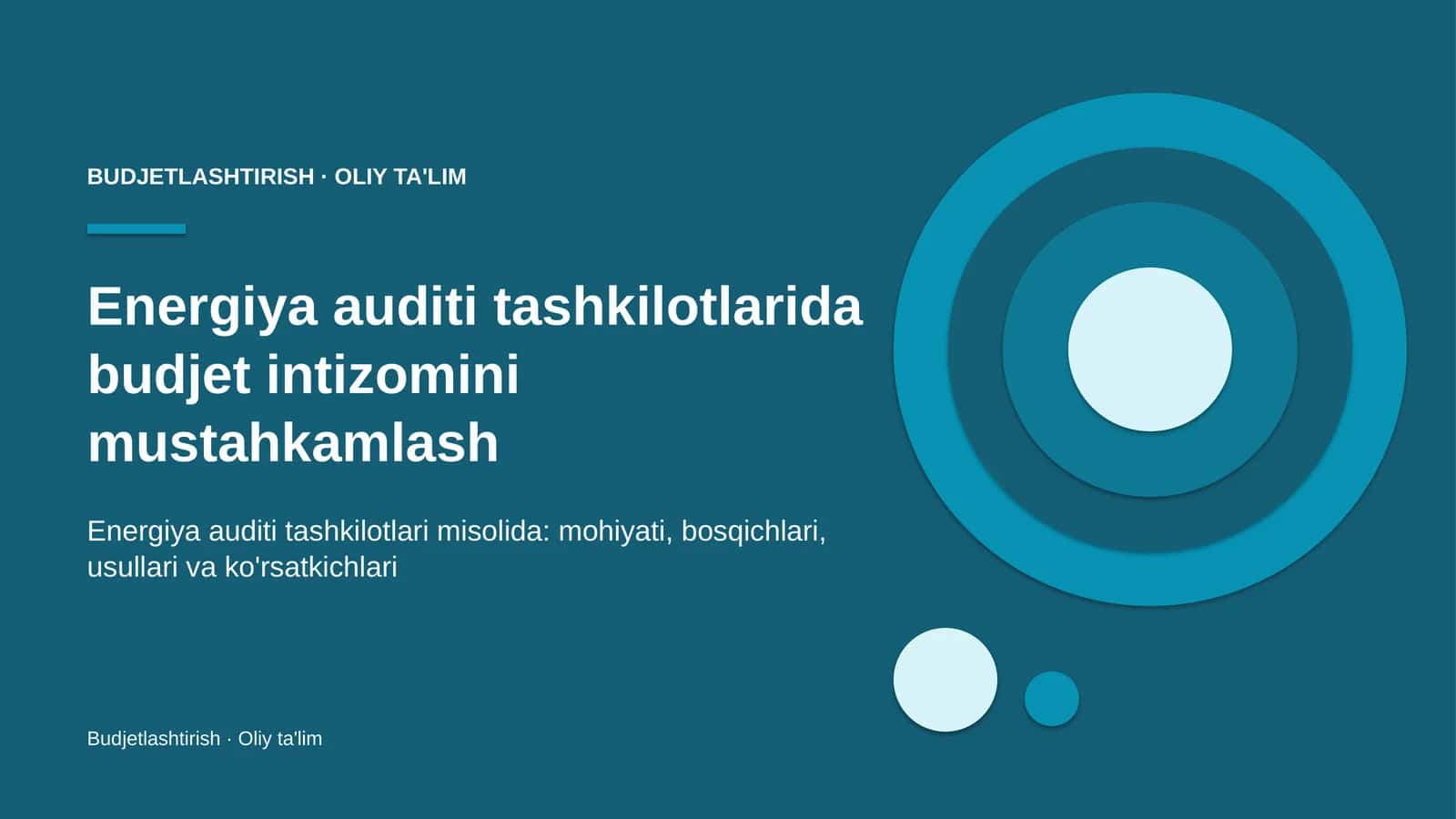 Energiya auditi tashkilotlarida budjet intizomini mustahkamlash 1