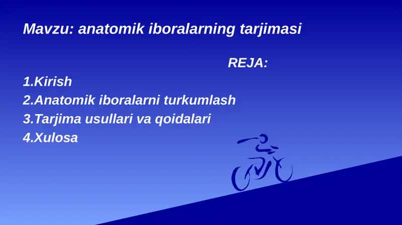 anatomik iboralarning tarjimasi 1