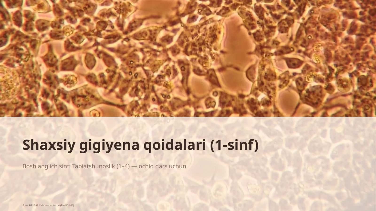 Shaxsiy gigiyena qoidalari (1-sinf) 1