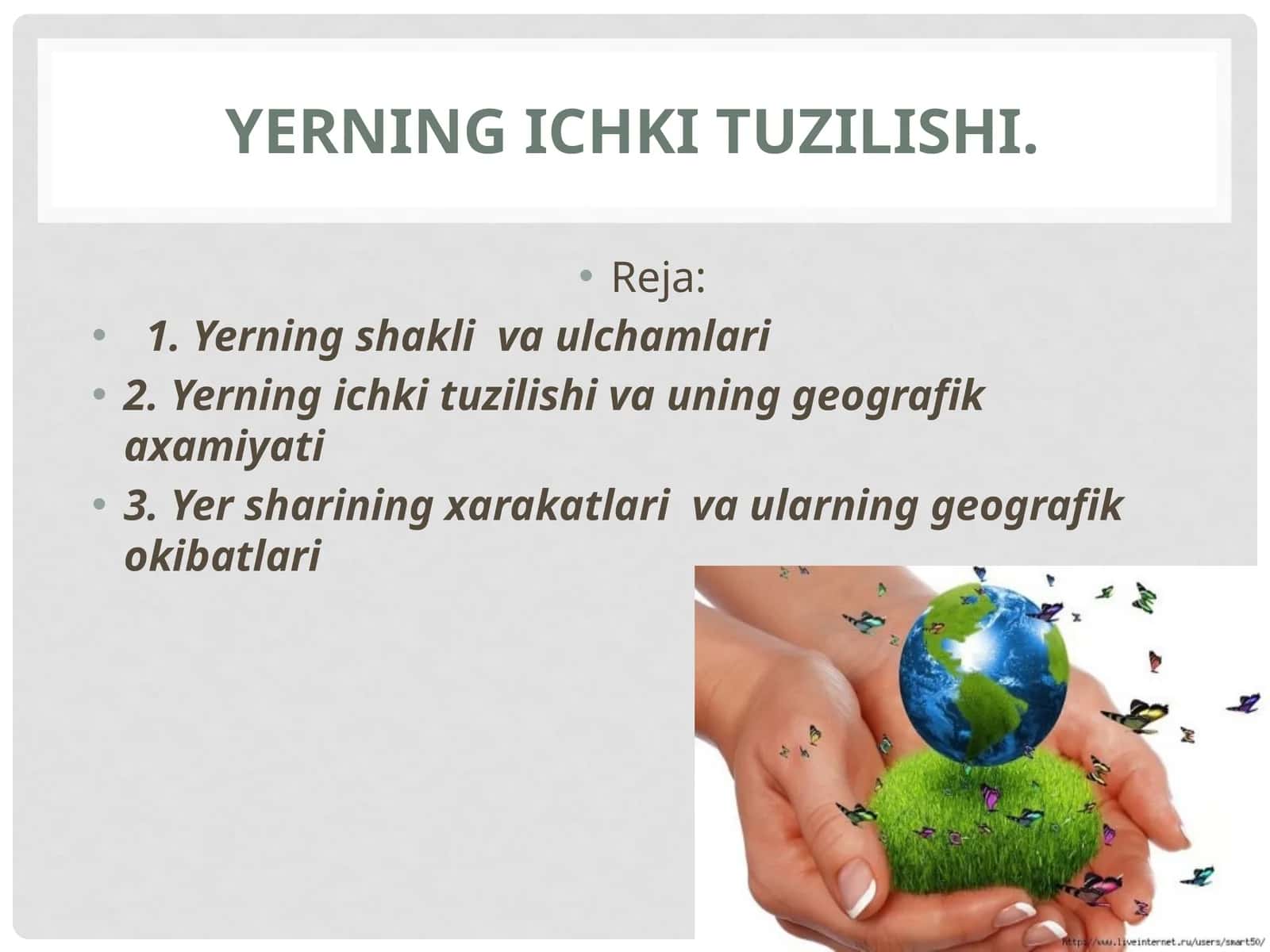 YERNING ICHKItuzilishi 1