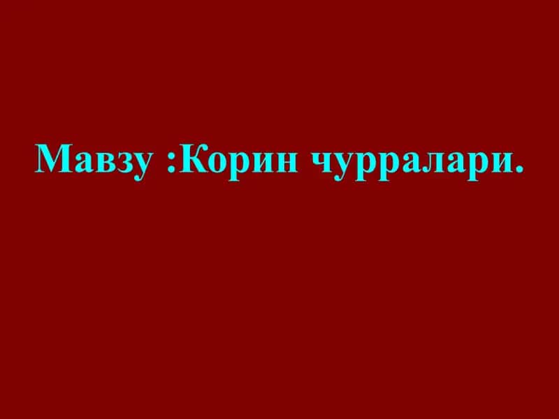 Жигар девори анатомияси 1