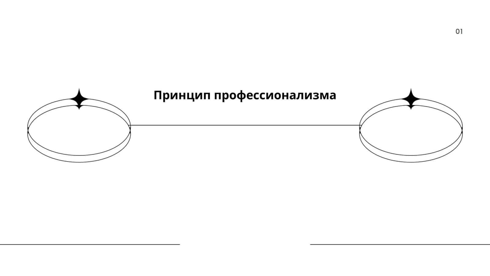 Принцип профессионализма 1