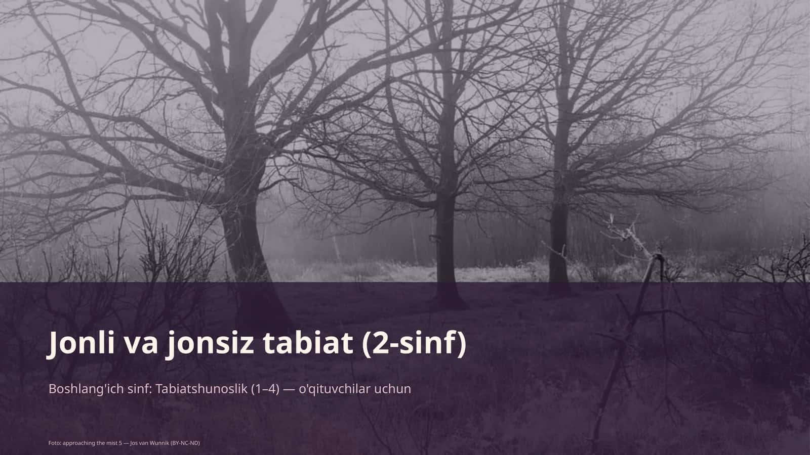 Jonli va jonsiz tabiat (2-sinf) 1