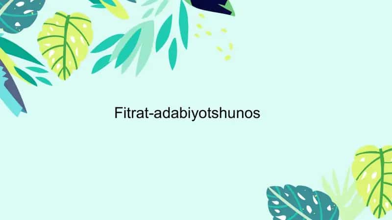 Fitrat-adabiyotshunos 1