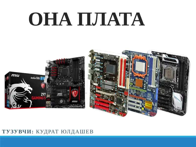 ОНА ПЛАТА 1