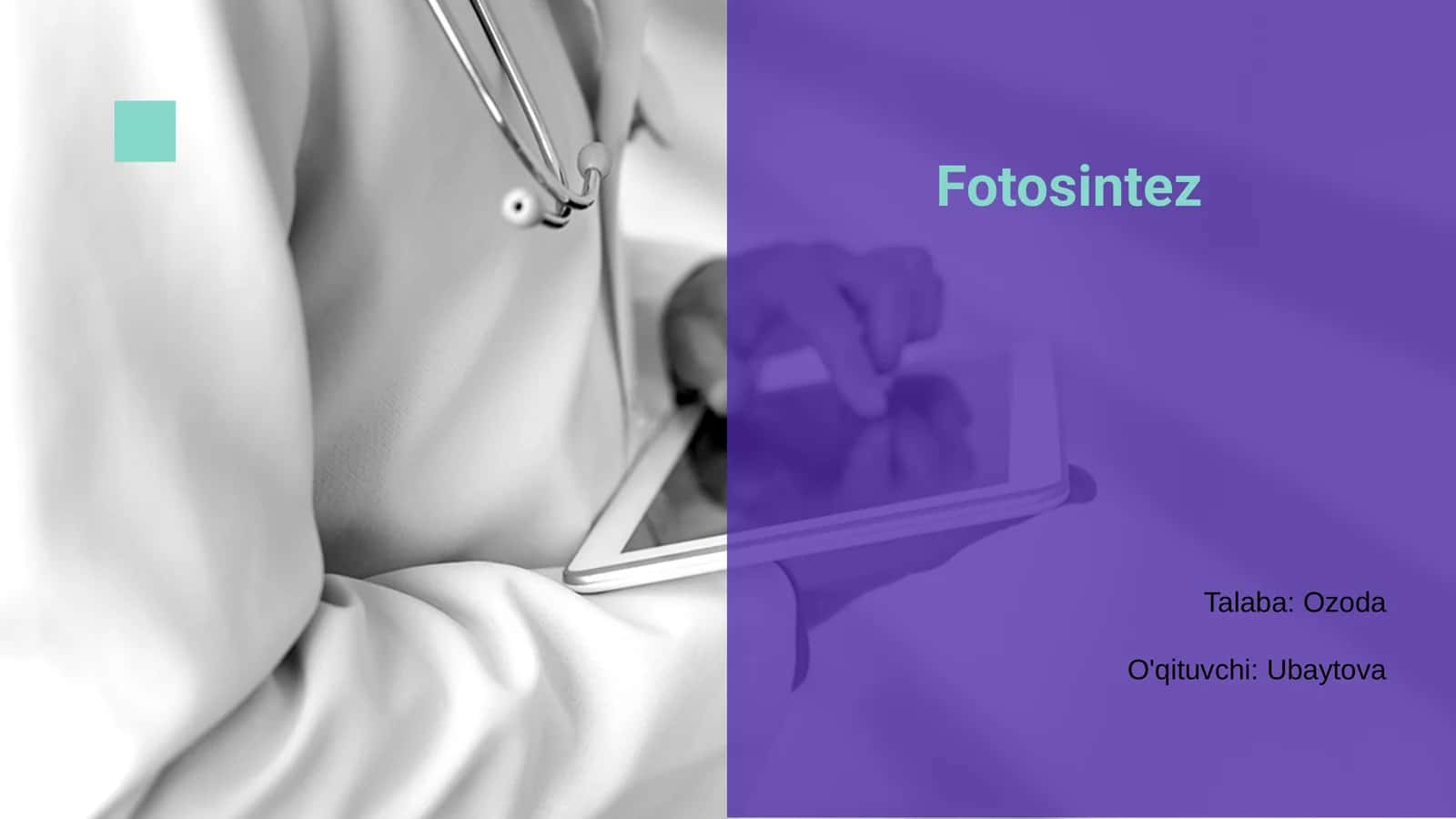 Fotosintez 1