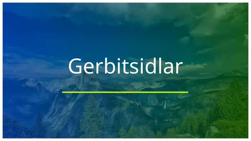 Gerbitsidlar 1