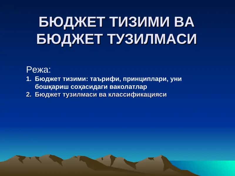 Бюджет тизими 1