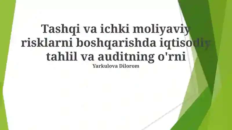 Tashqi va ichki moliyaviy risklarni boshqarishda iqtisodiy tahlil va auditning o'rni