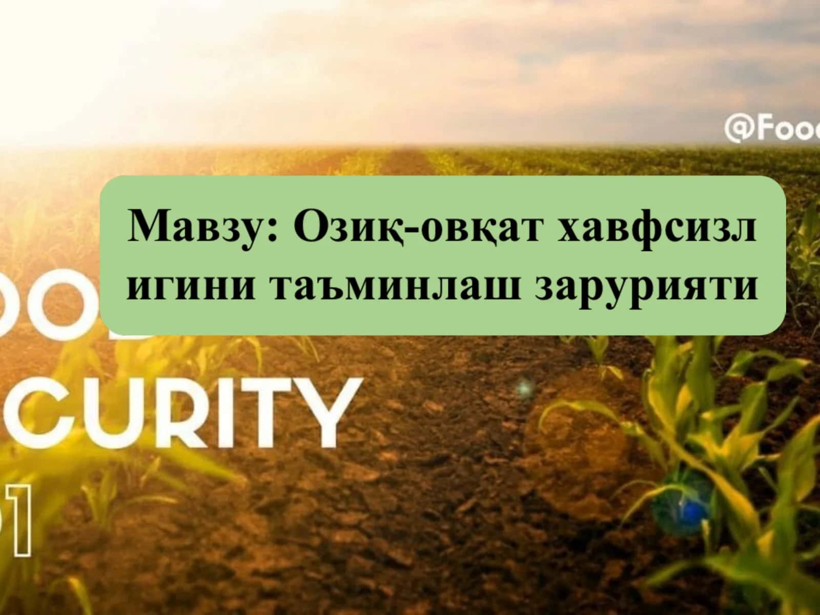 Озиқ овқат хавфсизлиги 1