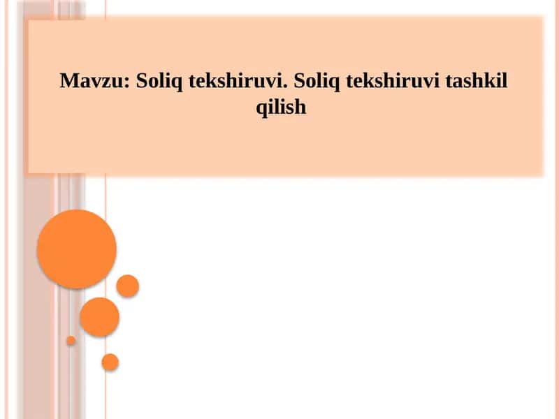 Soliqtekshiruvi 1
