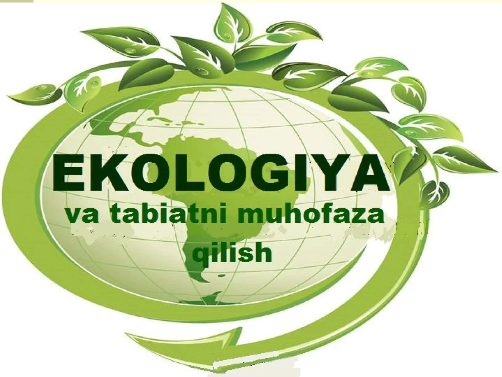 ЛИТОСФЕРА 1