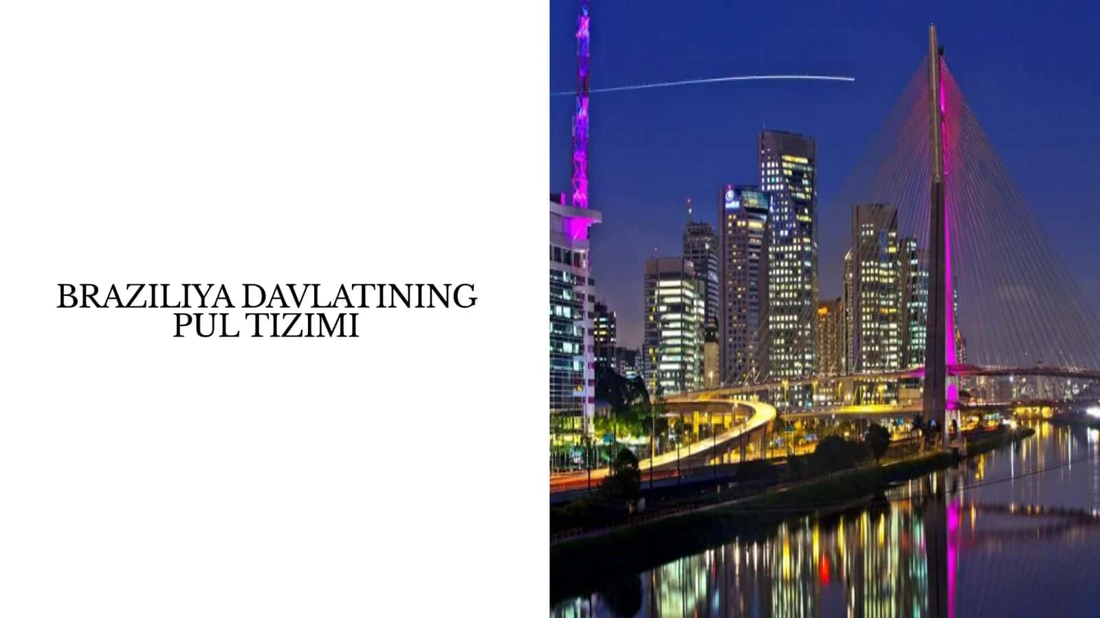 Braziliya davlatining pul tizimi 1