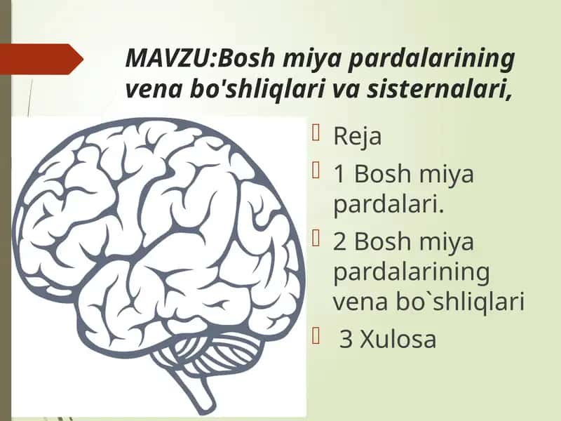 Bosh miya pardalarining vena bo'shliqlari va sisternalari 1