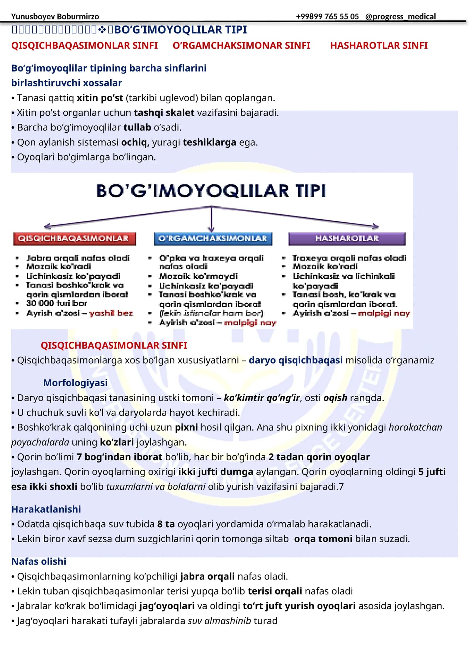 Bo’g’imoyoqlilar tipi 1