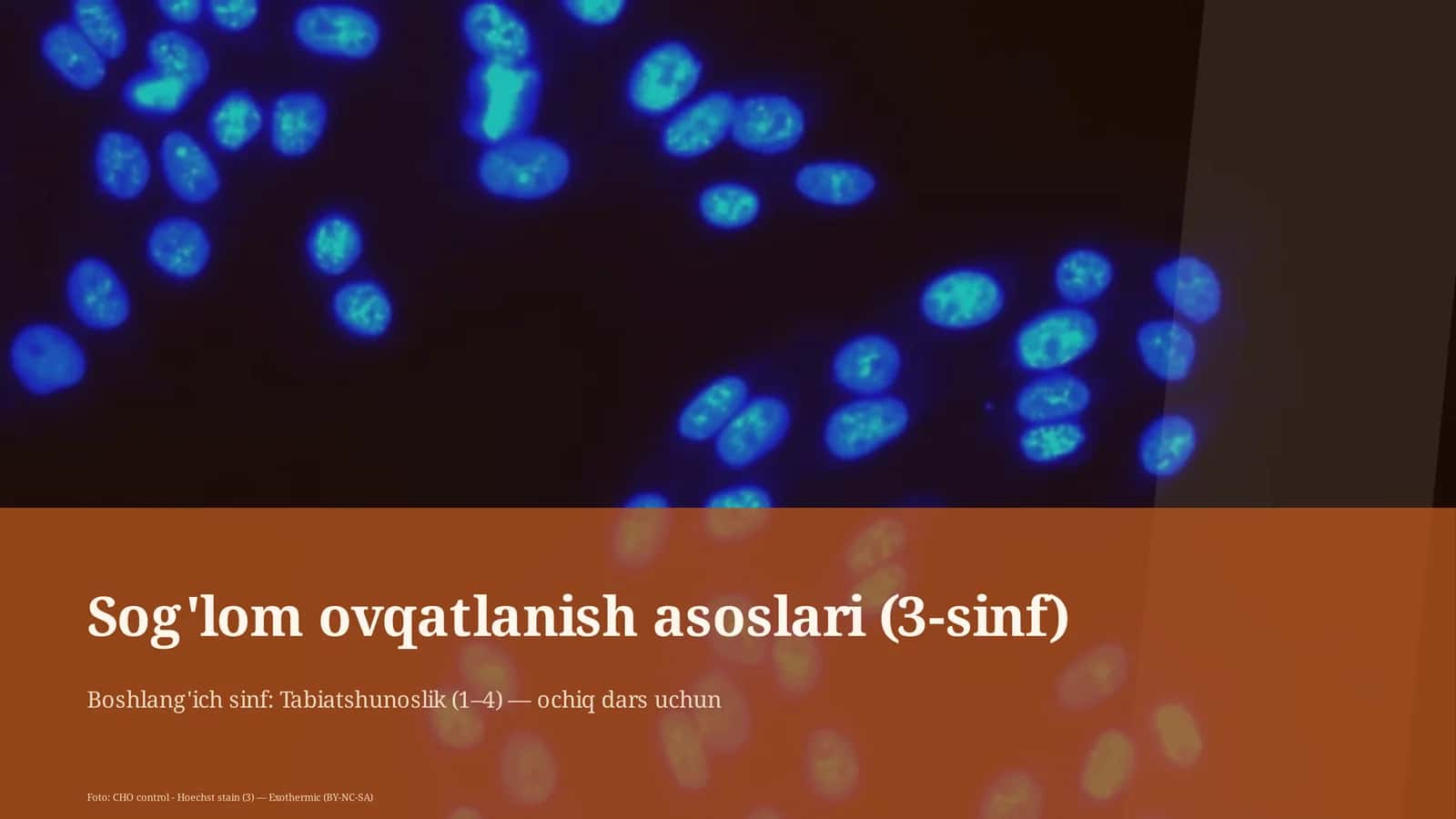 Sog'lom ovqatlanish asoslari (3-sinf) 1