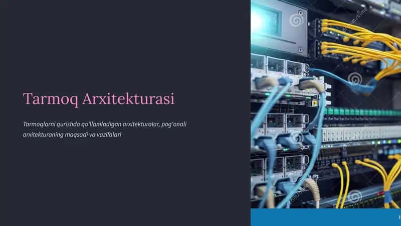 Tarmoq Arxitekturasi 1