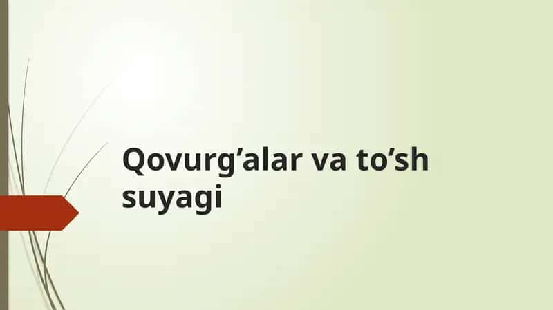 Qovurg’alar, to'sh va oʻmrov suyagi 1