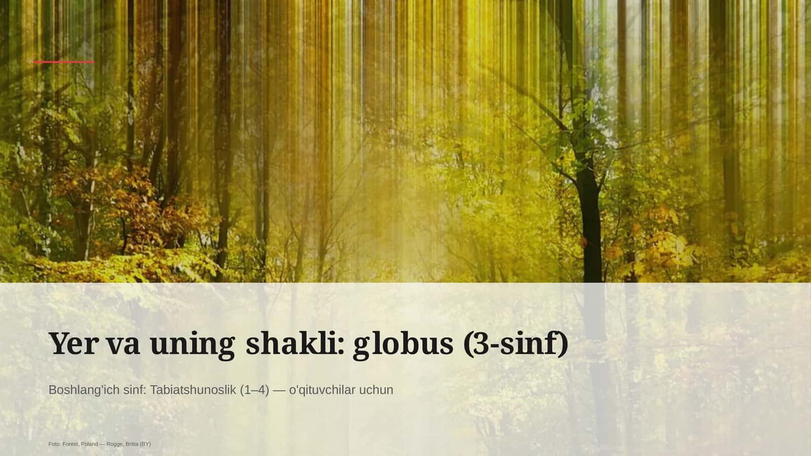Yer va uning shakli: globus (3-sinf) 1