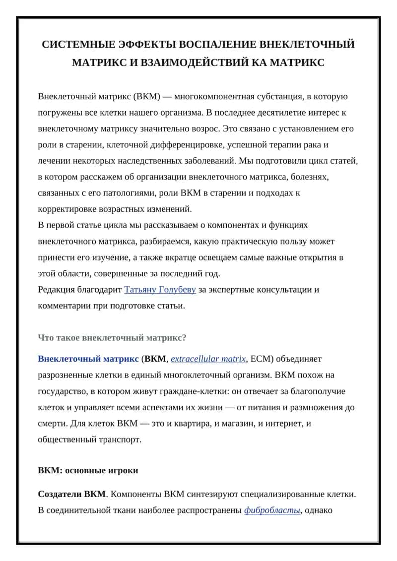 Внеклеточный матрикс 1