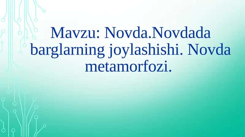 Novda 1