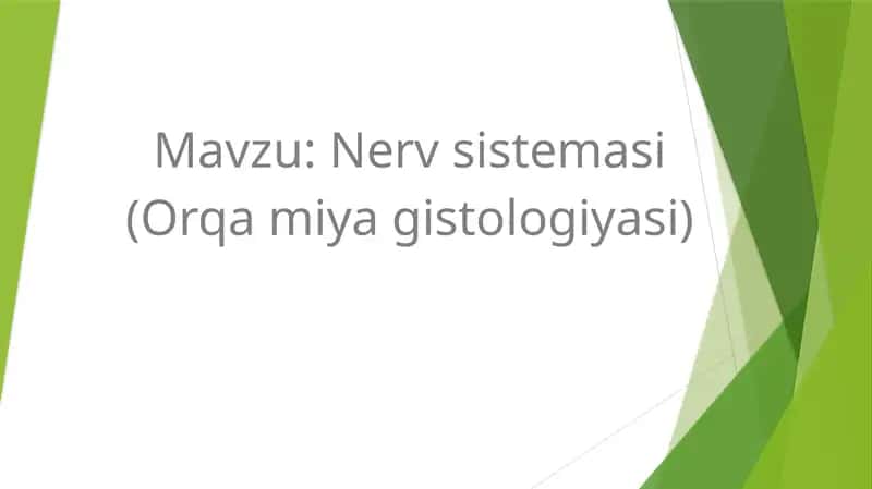 Orqa miya gistologiyasi 1