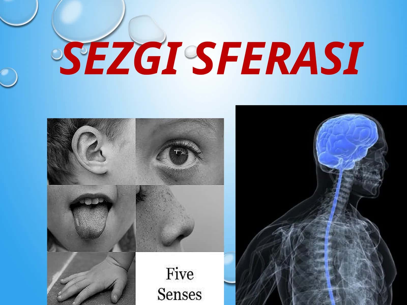 SEZGI SFERASI 1