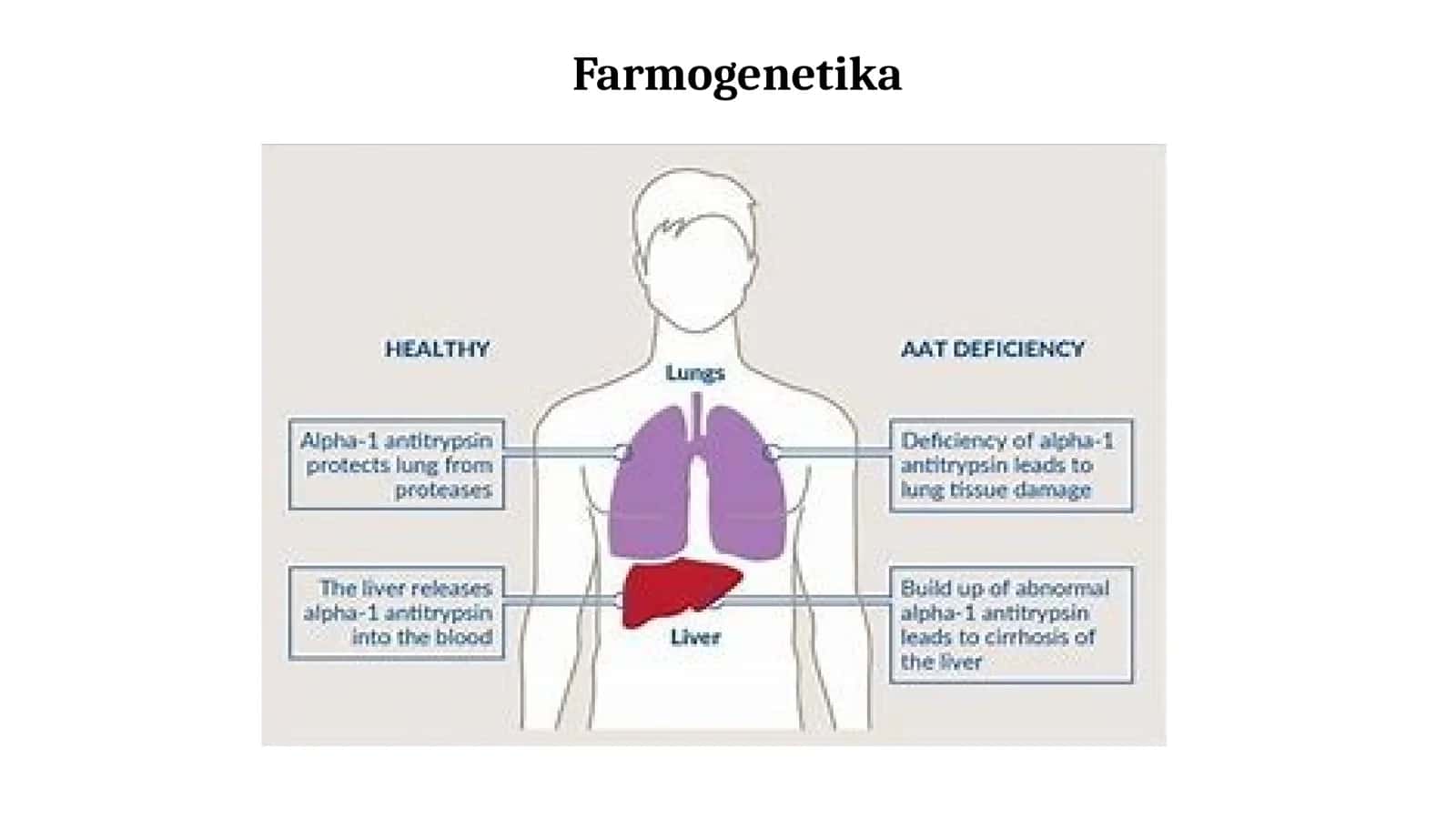 Farmogenetika 1